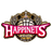 Akita Northern Happinets