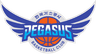 Daegu Pegasus