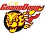 Guangdong Southern Tigers