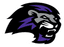 Paine Lions