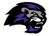 Paine Lions