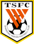Shandong Taishan FC