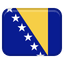 Damir Dzumhur