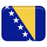 Damir Dzumhur