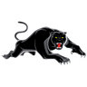 Penrith Panthers
