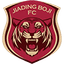 Ningbo Professional FC