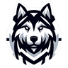 Huskies eSport