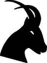regain