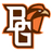 Falcons