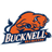 Bison