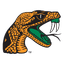 Rattlers