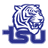 Tigers