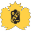 Skelleftea AIK
