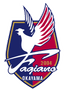 Fagiano Okayama