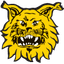 Ilves Tampere