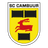 SC Cambuur-Leeuwarden