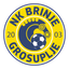 NK Brinje Grosuplje