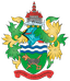 Chertsey Town FC